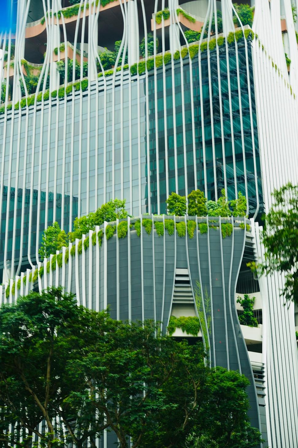 Sustainable Design Process